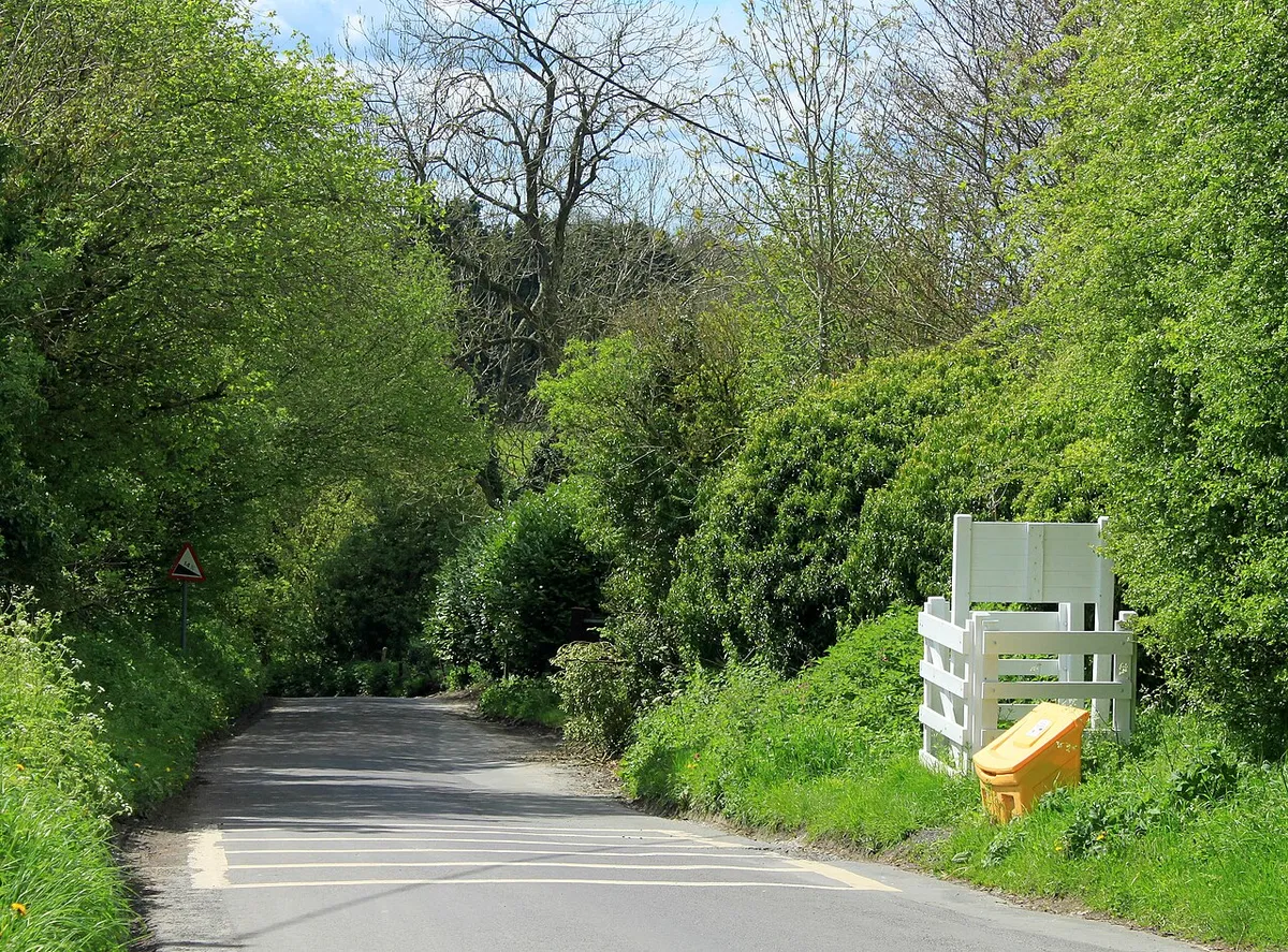 2012 : Consciences Lane, the steep bit