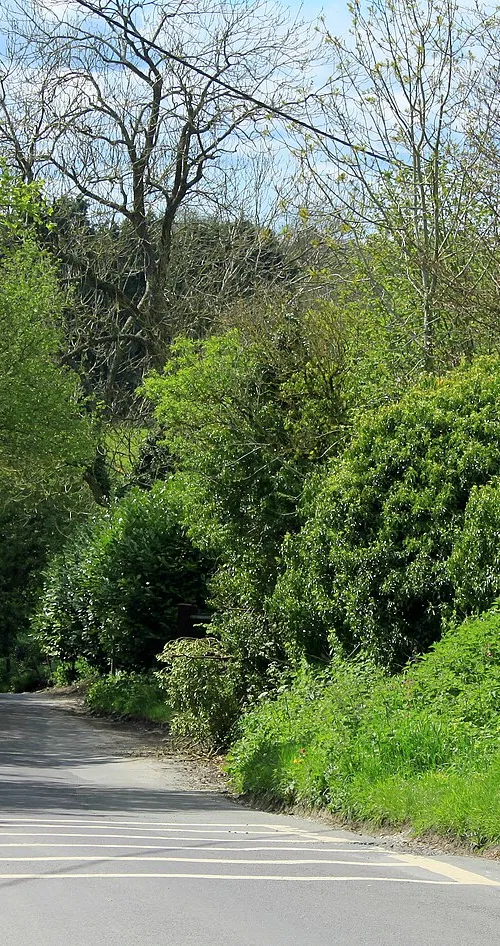Roundway