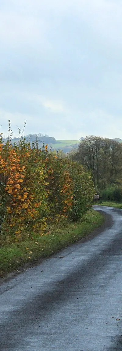 2011 : Lane to West Stowell on a grey day