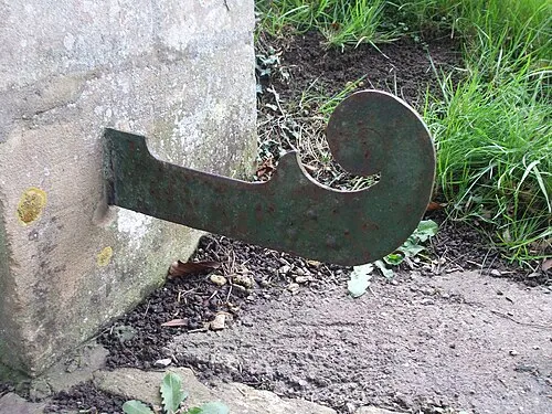 A curly scraper