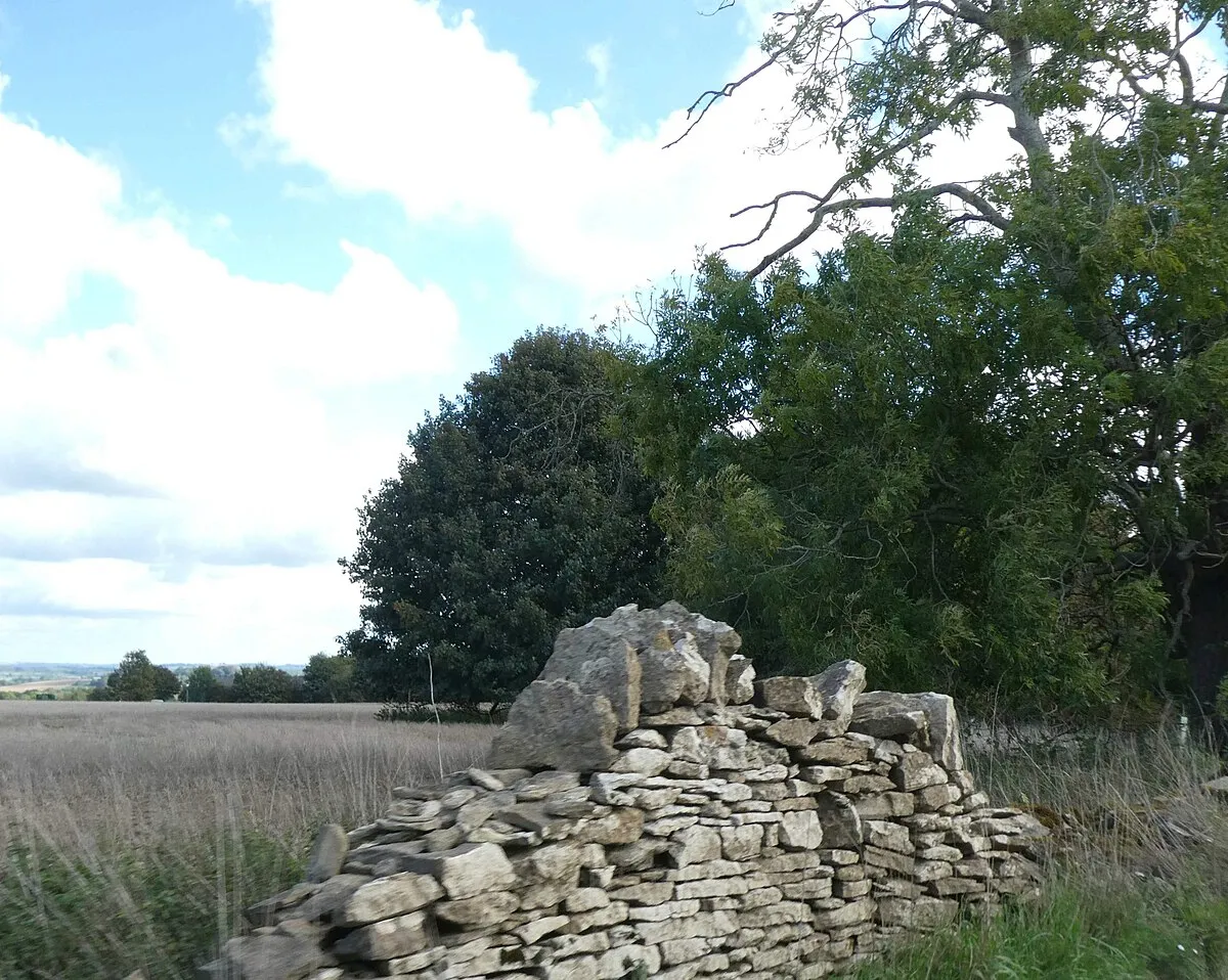 A damaged stone wall, by the Salt Way near Hawling