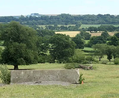 2010 : Concrete drinking trough off Stroud Lane