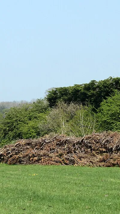 2011 : Composting tree prunings near Bremhill House Cottages