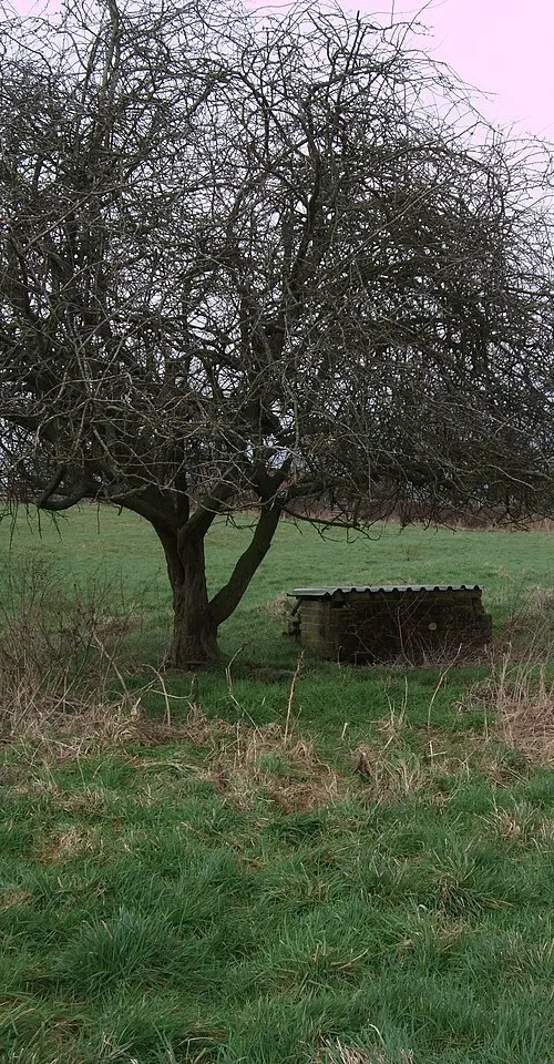 Hannington