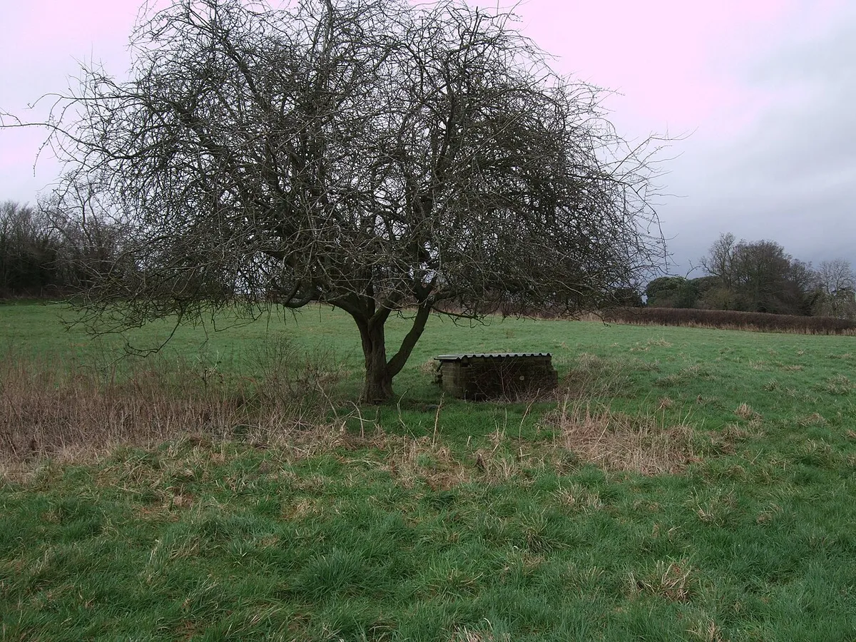Brick construction, field near Hannington