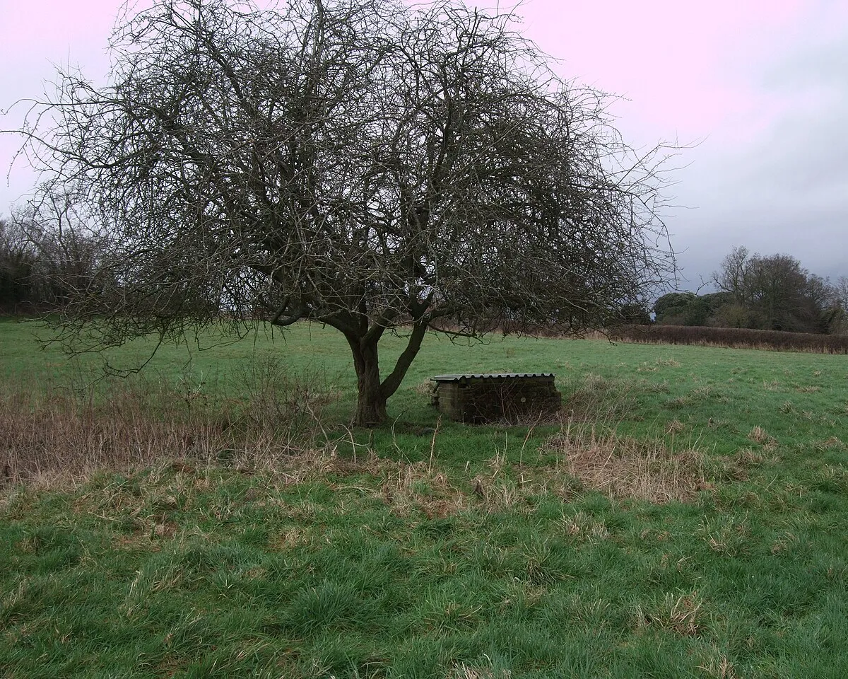 Brick construction, field near Hannington