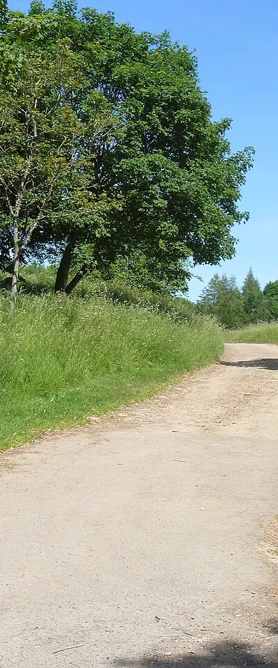 A walk around the Fosse Way [56]