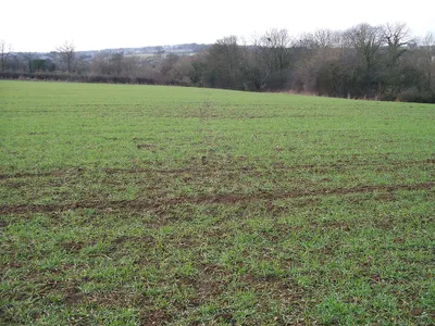Across the field The line of the footpath across this field is just discernible.