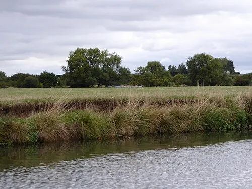 Buckthorn Meadow