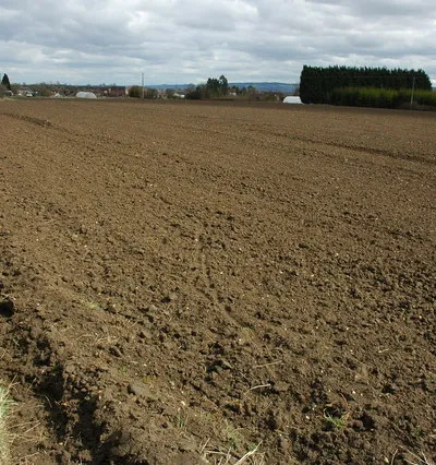 Arable land, Sedgeberrow Recently prepared arable land ready for the seeding or planting of this year's crop.