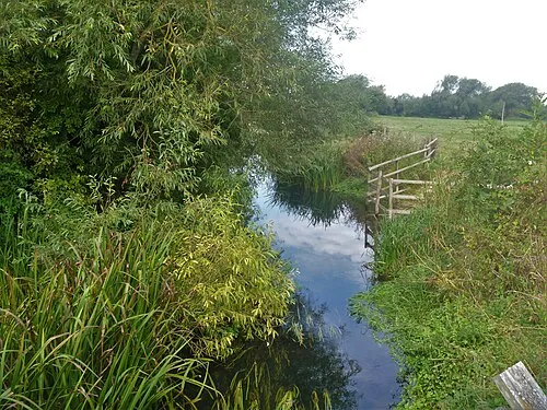 Cricklade North Meadow - National Nature Reserve