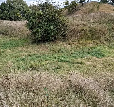Castlemorton Castle (Moat)