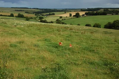 Farmland at Hazleton Farmland to the east of the small Cotswold village of Hazleton.