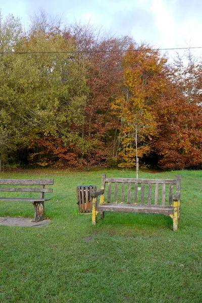 Benches on Box Hill Common