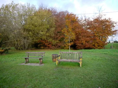 Benches on Box Hill Common