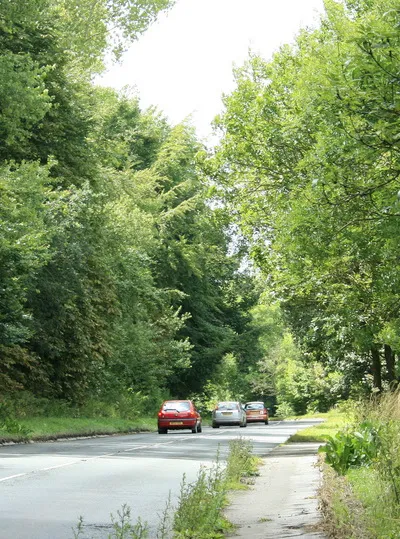 A4 heading east near Derry Hill On the way to Calne.
You may not believe this but there are people who like A roads.