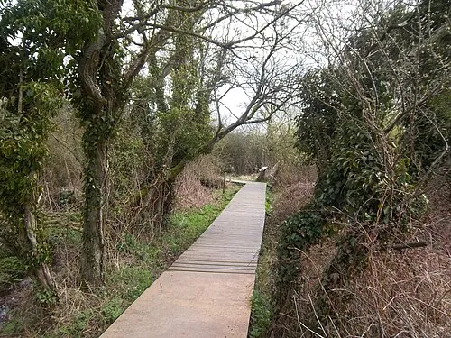 Salmonsbury Iron-Age Enclosed Oppidum