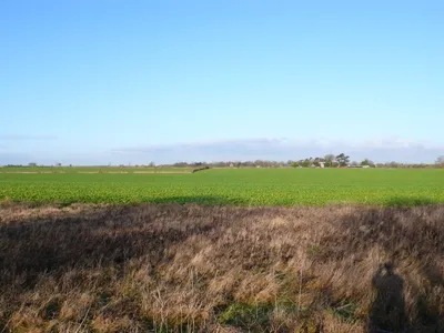 Countryside near North Wraxall View across the fields close to the northern edge of the square. The north western part of the square is quite flat.