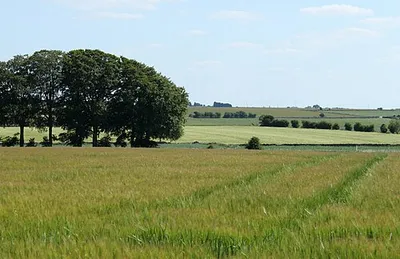 2010 : Barley field on the footpath to West Littleton
