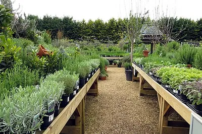 Burford Garden Centre