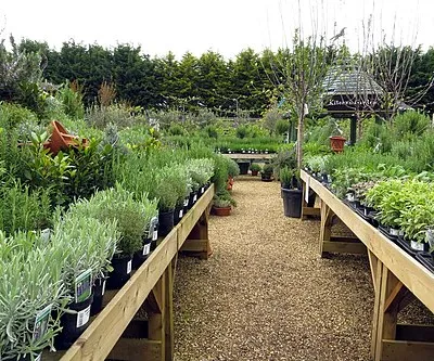 Burford Garden Centre