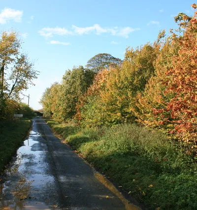 Minor road south of Lidstone, Oxfordshire