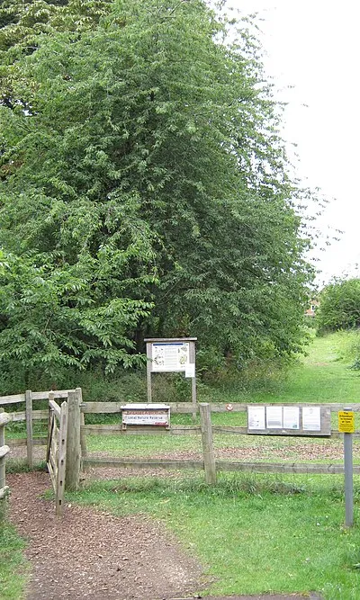 Barnwood Park Arboretum