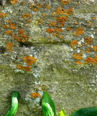 Bench mark, Church of St Mary, Longcot, Oxfordshire