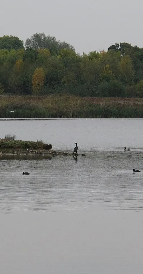 Kinsham