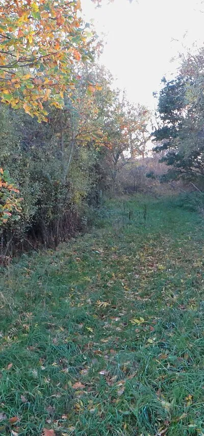 Bridleway to Duxford