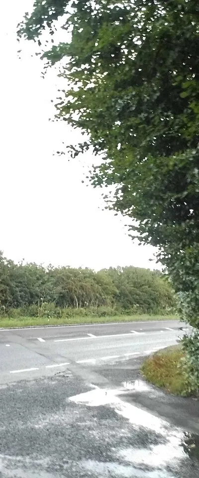 Baydon Road, Wickham Heath