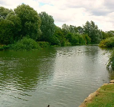 A view upstream, River Thames, Bablock Hythe