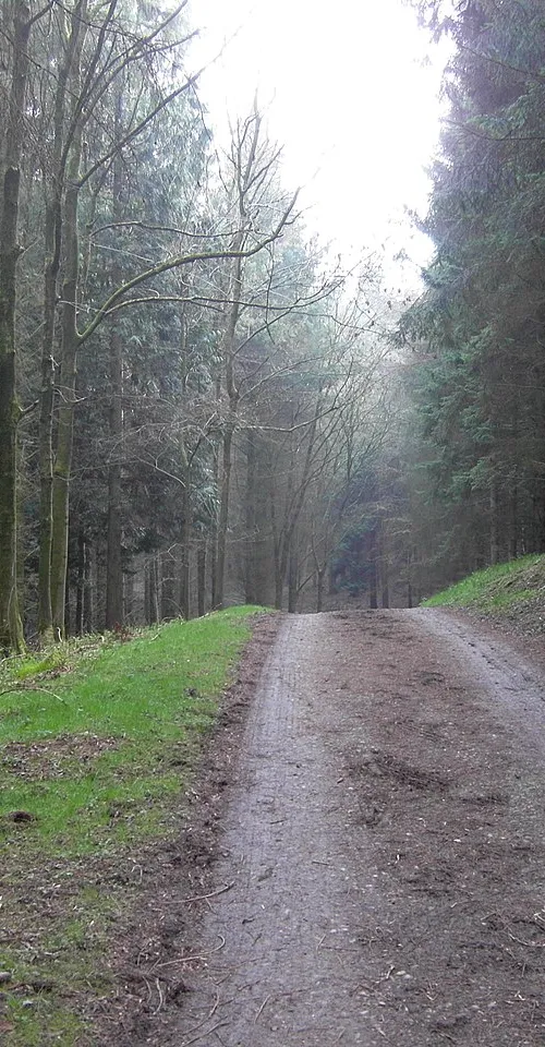 Kersoe