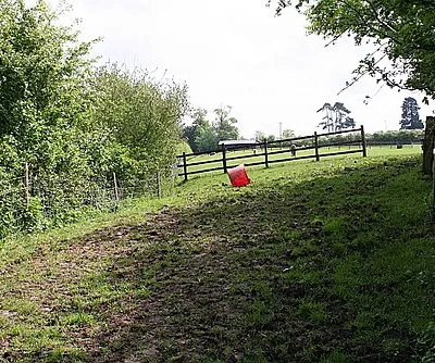 Small Paddock Bounded on three sides by roads: the B4211 on the right, the minor road to Chambers Court on the left and he M50 motorway straight ahead.