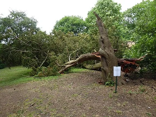 Park Seat Circular Walk, Croome