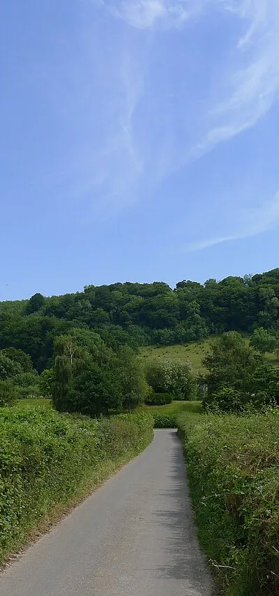 The Cotswold way heading towards Uley Bury