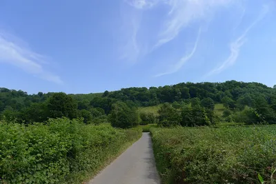 The Cotswold way heading towards Uley Bury