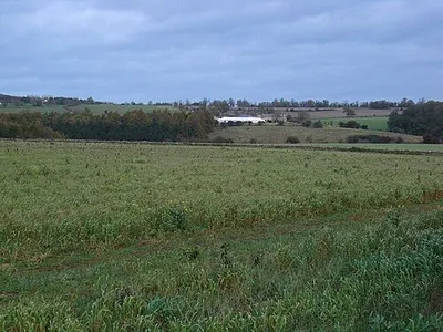 Across the fields to Banks Fee Farm.