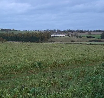 Across the fields to Banks Fee Farm.