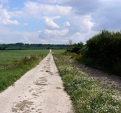 Track to Woodhill Park, near Bushton The concrete track leads to Woodhill Park past Mill Mead Wood on the left and the site of a medieval village called Woodhill.