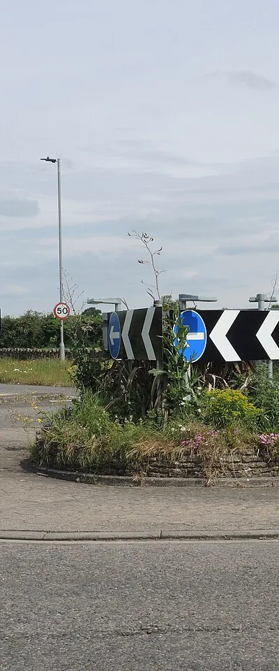 A double helping of routes