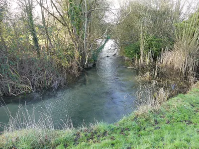 Bend in the youthful River Thames beside the Thames Path, Somerford Keynes