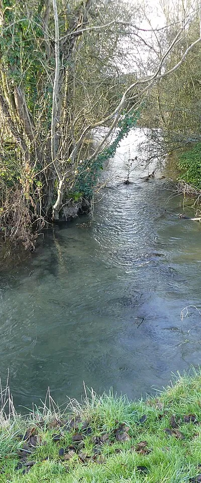 Bend in the youthful River Thames beside the Thames Path, Somerford Keynes