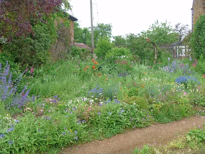 An English country garden [2]