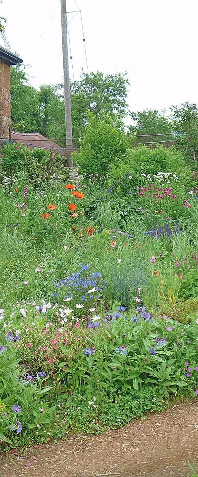 An English country garden [2]