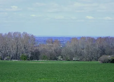 2010 : View North near Ash Hill Farm