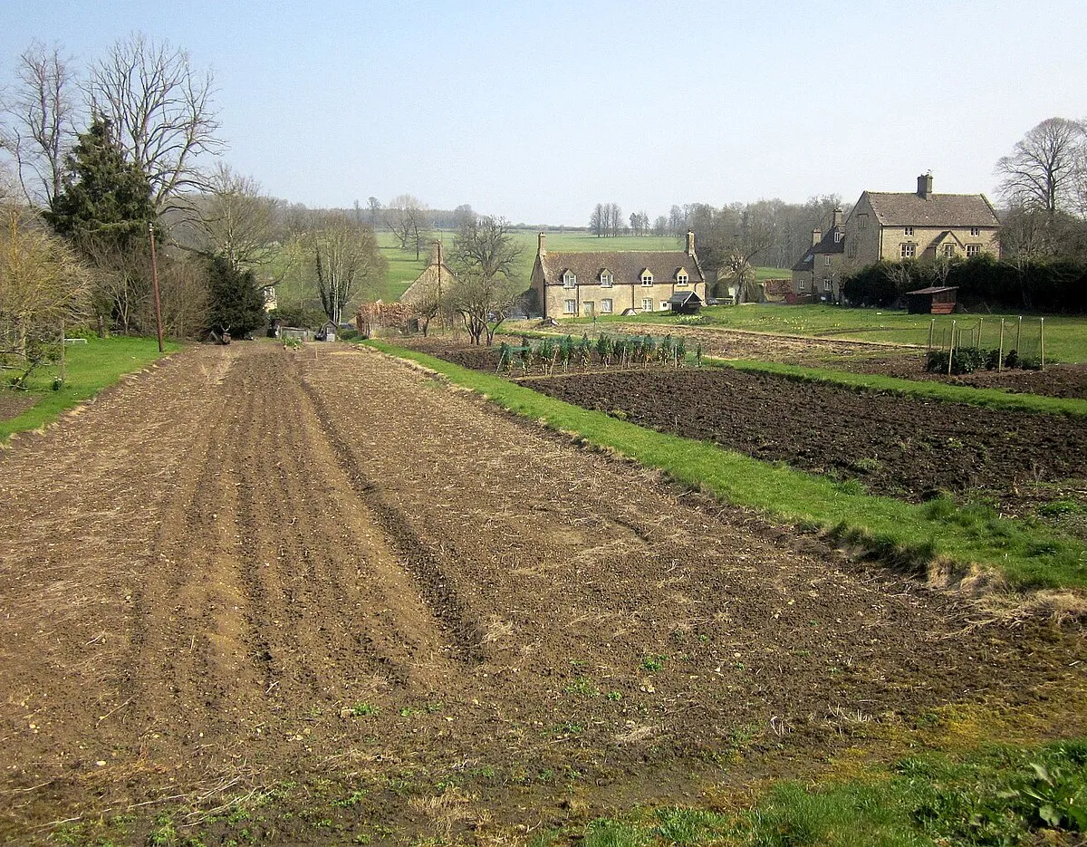 Allotments, Sherborne