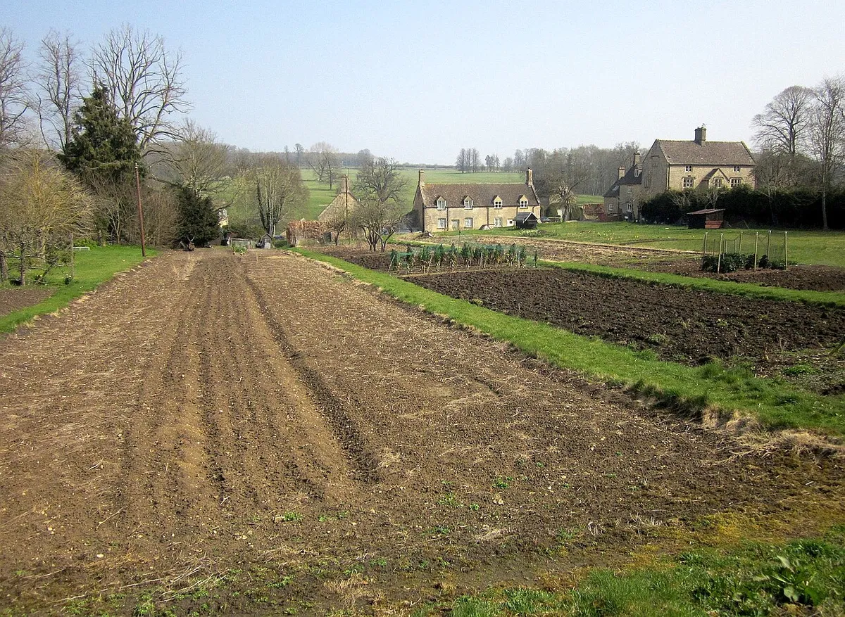 Allotments, Sherborne