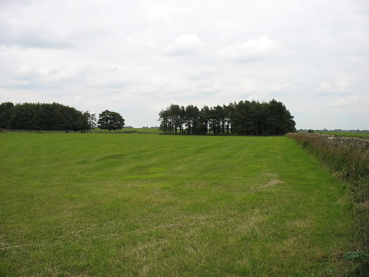 A field close to Tresham