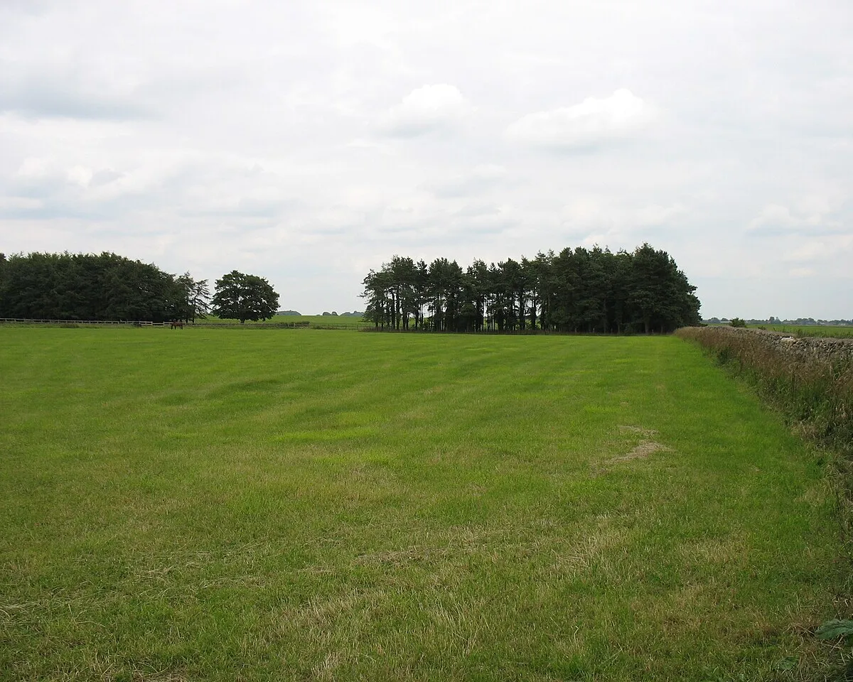 A field close to Tresham